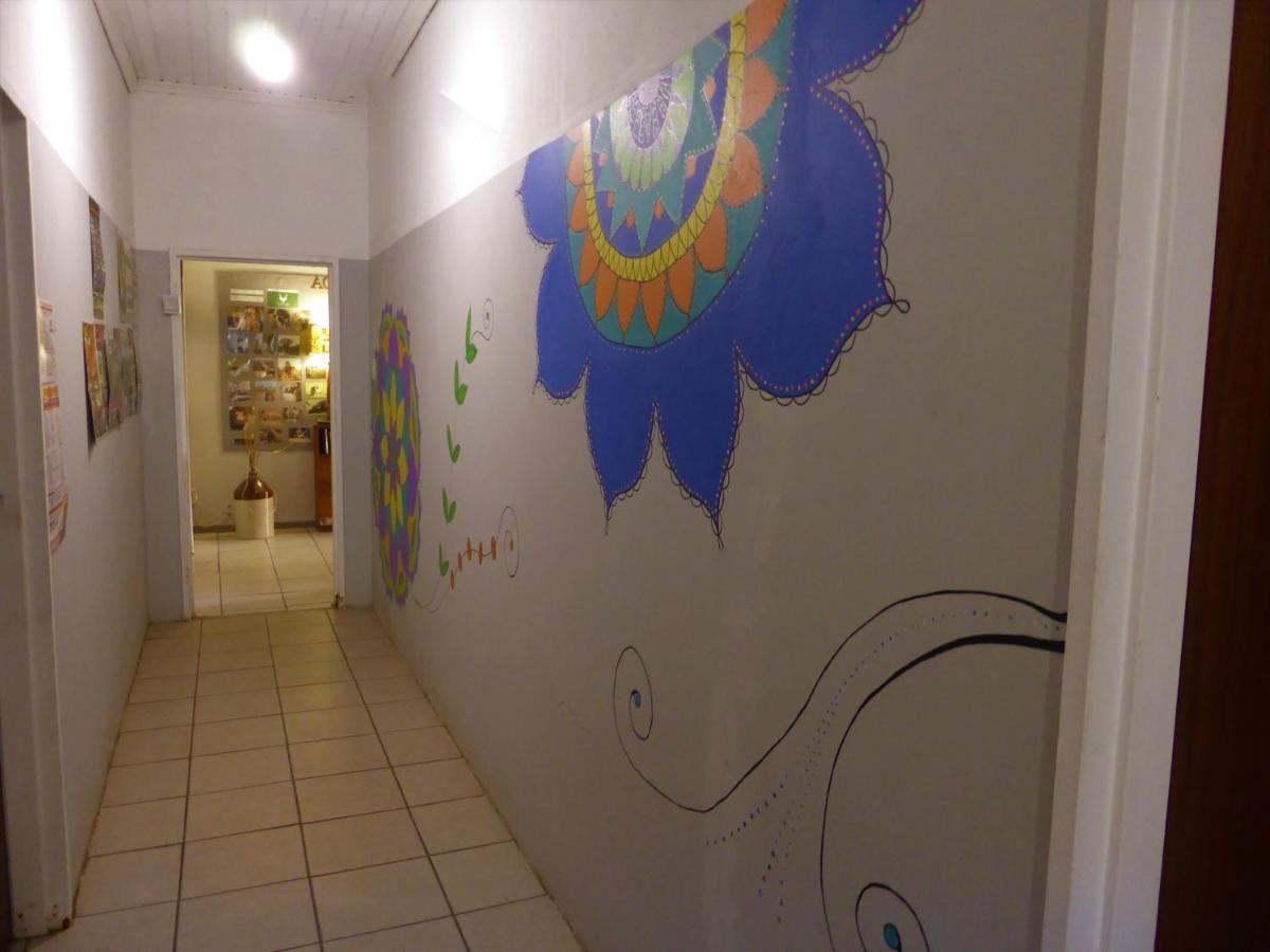 Orange Elephant Backpackers Vandrarhem Addo Exteriör bild